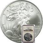 2013 NGC MS 69 Silver Eagle